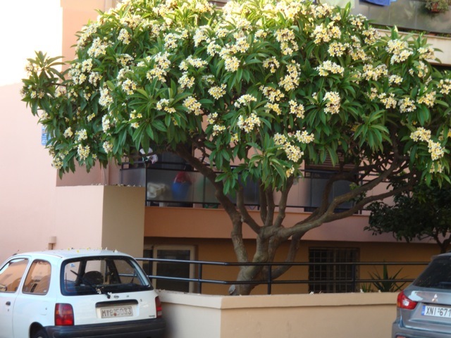 DSC04714