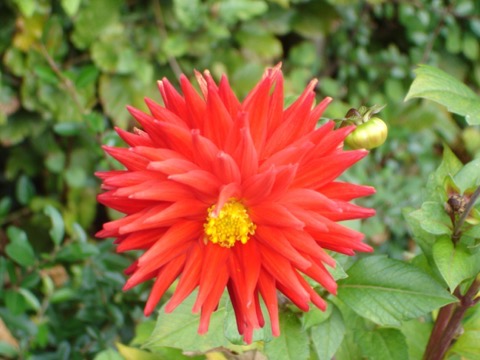 DSC03065