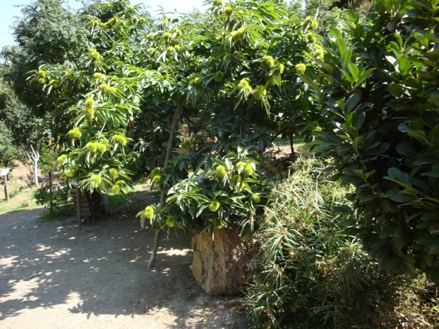 DSC04741