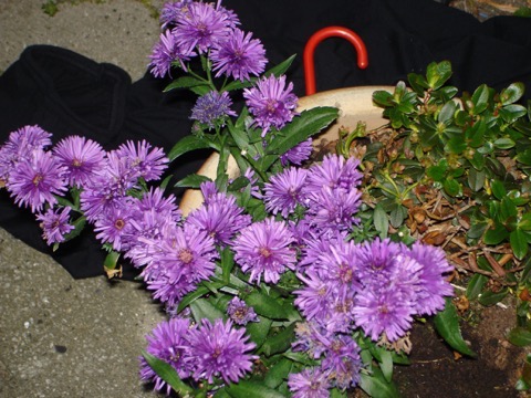 DSC02308