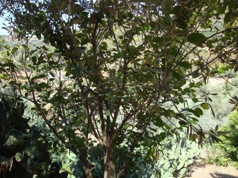 dsc04768